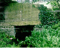 St Finians Primary School Newlyons