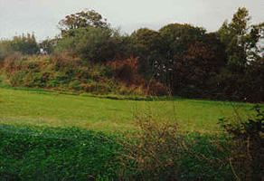 St Finians Primary School Newlyons